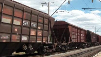 Фотография к новости: Павлодарда жеті жылқыны пойыз басып кетті