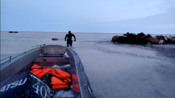 Фотография к новости: Ақмола облысында 30 жылқы мұзға батып кетті