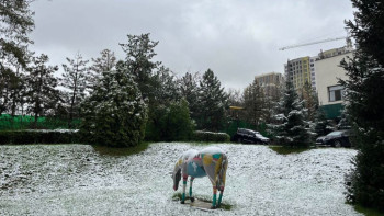 Фотография к новости: Алматыда қар жауды