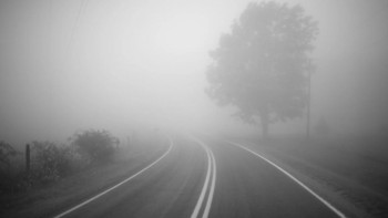 Фотография к новости: Алдағы күндері тұман түсіп, қар аралас жауын жауады