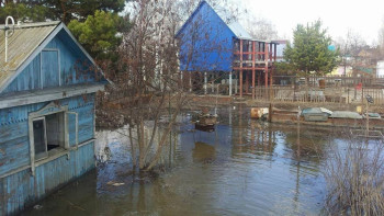 Фотография к новости: Петропавл қаласында 700 саяжай су астында қалды