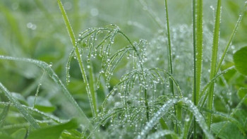Фотография к новости: Елдің оңтүстік аймақтарында аяз болуы ықтимал
