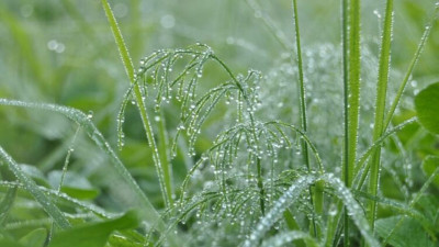 Елдің оңтүстік аймақтарында аяз болуы ықтимал