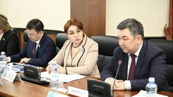 Фотография к новости: Бибігүл Жексенбай: БАҚ-тағы жарнаманы заң жүзінде шектеу керек