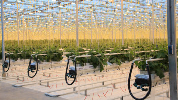 Фотография к новости: Суару жүйесіне жеткілікті ақша бөлінбейді - депутат