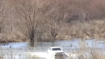 Фотография к новости: Петропавлда саяжайлар суға кетті
