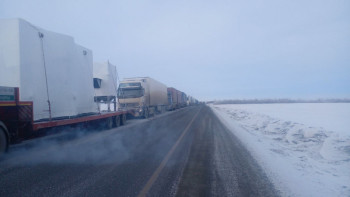 Фотография к новости: Қазақ-өзбек шекарасында 250-ге жуық көлік тұрып қалды