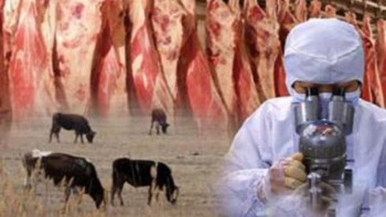 Фотография к новости: Қызылордада бруцеллёз жұқтырғандар саны өсті