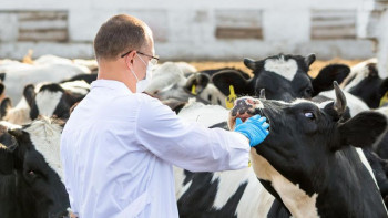 Фотография к новости: Қарағанды облысында мал ауруы белең алды