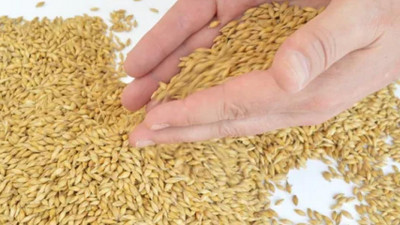 Ресей астығы Қазақстан арқылы заңсыз экспортталған