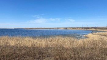 Фотография к новости: Петропавлды жағымсыз иіс жайлады