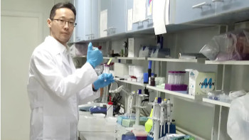 Фотография к новости: Ғалым тіс эмалін қалпына келтіретін имплант ойлап тапты