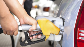 Фотография к новости: Кубада жанармай тапшы