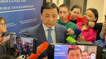 Фотография к новости: Көлгінов миллиардтаған шығын әкелген бағдарлама туралы айтты