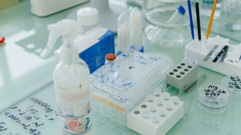 Фотография к новости: Соңғы тәулікте коронавирус пен пневмонияға шалдыққандар саны артты