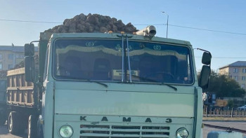 Фотография к новости: Көксу қант зауыты жеке рекордын жаңартпақ