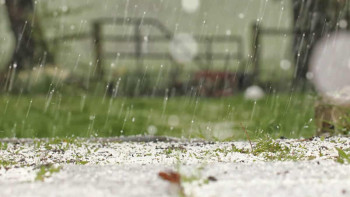 Фотография к новости: 11 өңірде дауылды ескерту жарияланды