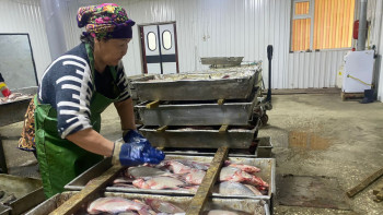 Фотография к новости: Балық баптап, бақ тапқан