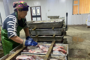 Фотография к новости: Балық баптап, бақ тапқан