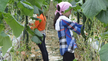 Фотография к новости: «Дем» жастарға демеу бола ма?