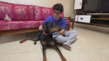 Фотография к новости: Иорданияда иттерге арналған бақша ашылады