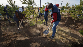 Фотография к новости: Астанада 1 миллион жасыл желек егілмек