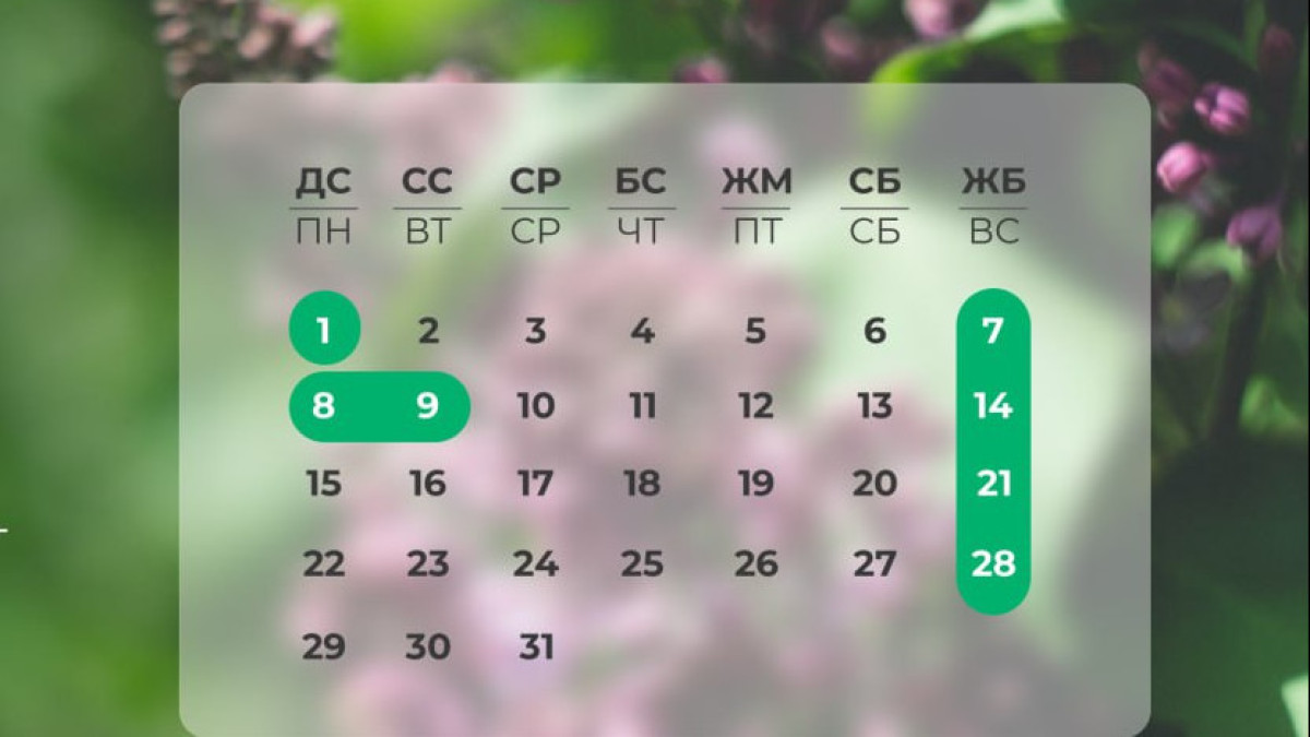  "Азаматтарға арналған үкімет" МК