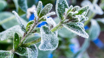 Фотография к новости: Демалыс күндері күн суытады