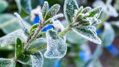 Демалыс күндері күн суытады