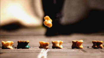 Фотография к новости: Қызылордада асық атудан ел біріншілігі өтіп жатыр