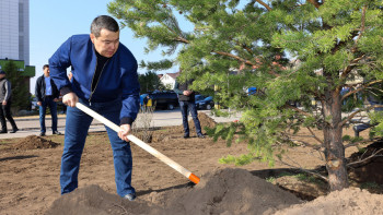 Фотография к новости: Әлихан Смайылов «Жасыл Астана» жалпықалалық сенбілікке қатысты