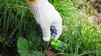 Фотография к новости: Астананың Сарыарқа ауданында 12,5 мың адам сенбілікке шықты