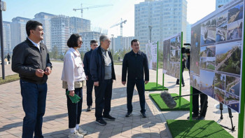 Фотография к новости: Президентке елорданы көгалдандыру және абаттандыру жоспары таныстырылды