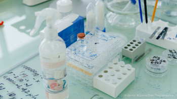 Фотография к новости: Еліміз бойынша коронавирус жұқтырған 62 адам тіркелді