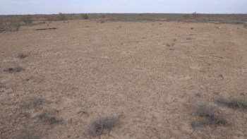 Фотография к новости: Маңғыстауда пайдаланылмай жатқан жер мемлекет меншігіне қайтарылды