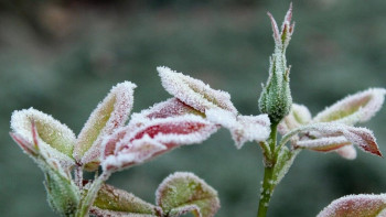 Фотография к новости: 6 облыста үсік жүреді – Қазгидромет