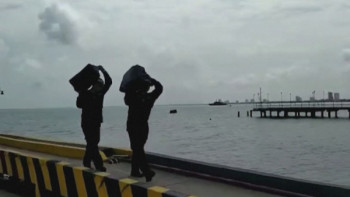 Фотография к новости: Колумбияда 340 млн доллардың есірткісі тәркіленді