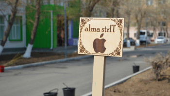 Фотография к новости: Павлодарда IT-бақ пайда болды