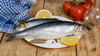 Фотография к новости: Диетолог майшабақты күнделікті тұтыну зиян екенін айтты