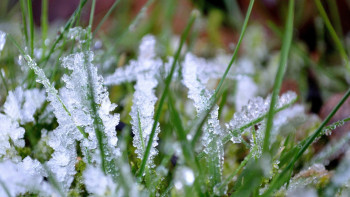 Фотография к новости: Ауа райы: бүгін жаңбыр жауып, үсік жүреді