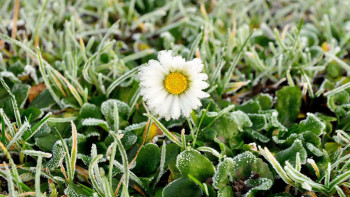 Фотография к новости: 3 мамырға арналған ауа райы болжамы