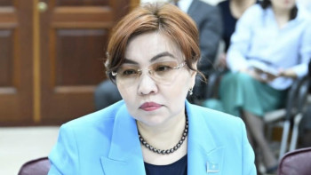 Фотография к новости: Сенатор тегін фото-видео жариялайтын сайттарды реттеу керегін айтты