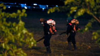 Фотография к новости: Алматыда кенеге қарсы өңдеу жұмыстары жүргізілуде