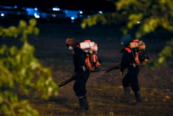 Фотография к новости: Алматыда кенеге қарсы өңдеу жұмыстары жүргізілуде