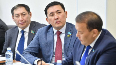 Жастарымыз жатыпішер болып барады – Депутат «хайп» қуатын блогерлер туралы