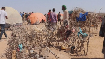 Фотография к новости: Шығыс Африка елдері қуаңшылық зардабын тартып отыр