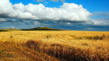 Фотография к новости: Маңғыстауда 356 мың гектар жер мемлекетке қайтарылды