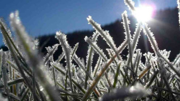 Фотография к новости: Алдағы күндері күн суытып, үсік жүреді