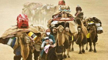 Фотография к новости: Мароккода көшпенділер фестивалі өтіп жатыр