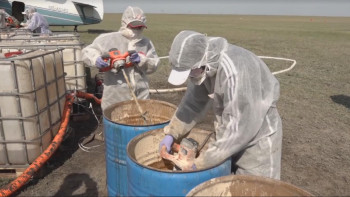 Фотография к новости: Павлодар облысында фенологиялық зерттеулер басталды